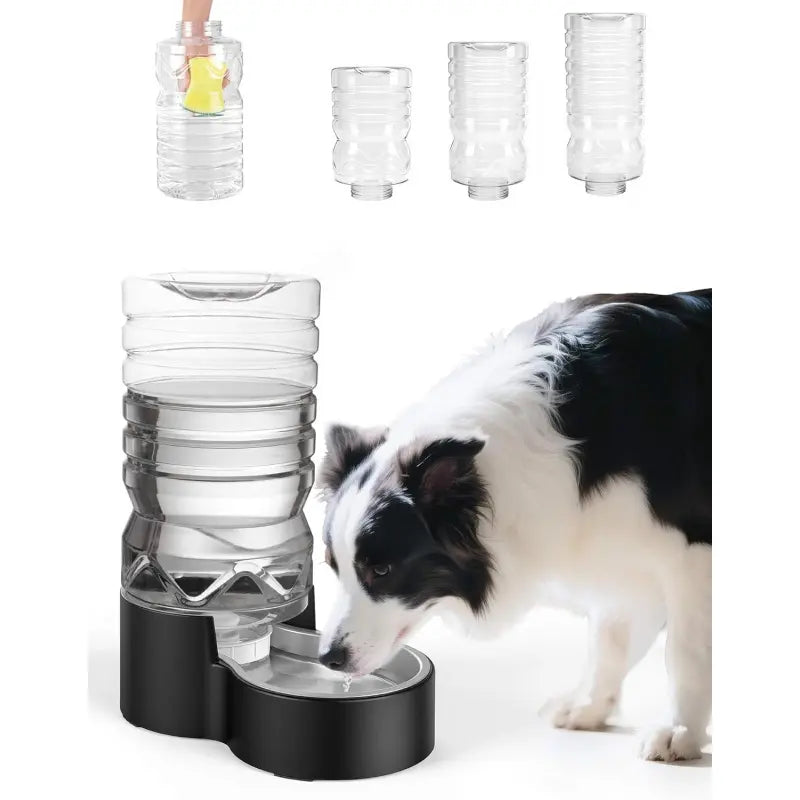 2.5 Gallon Automatic Dog Water Dispenser - Easy Clean Wide Mouth, Removable Stainless Steel Bowl, Ideal for Multi-Pet Homes