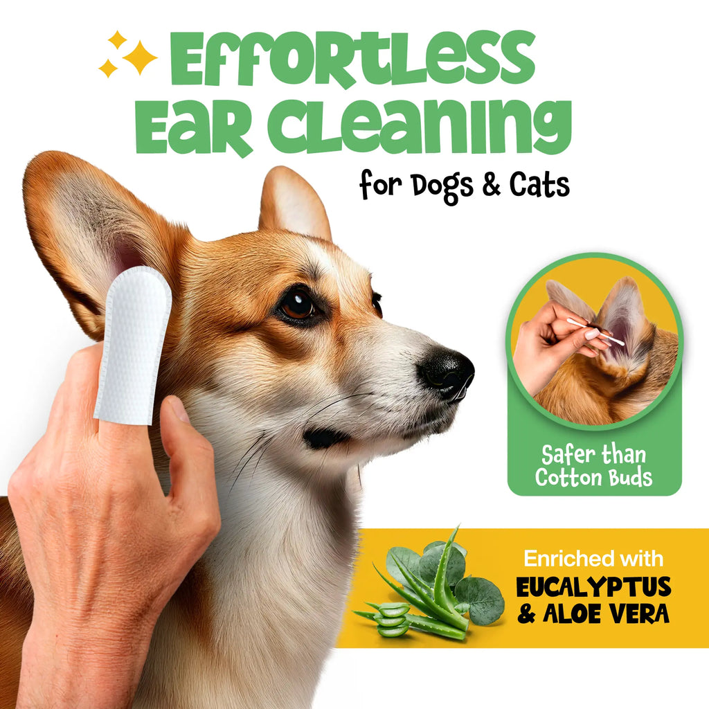 Revitalize Your Pet's Ears with Roofus the Dog Ear Wipes - Eucalyptus Aloe | 100 Count for Ultimate Comfort