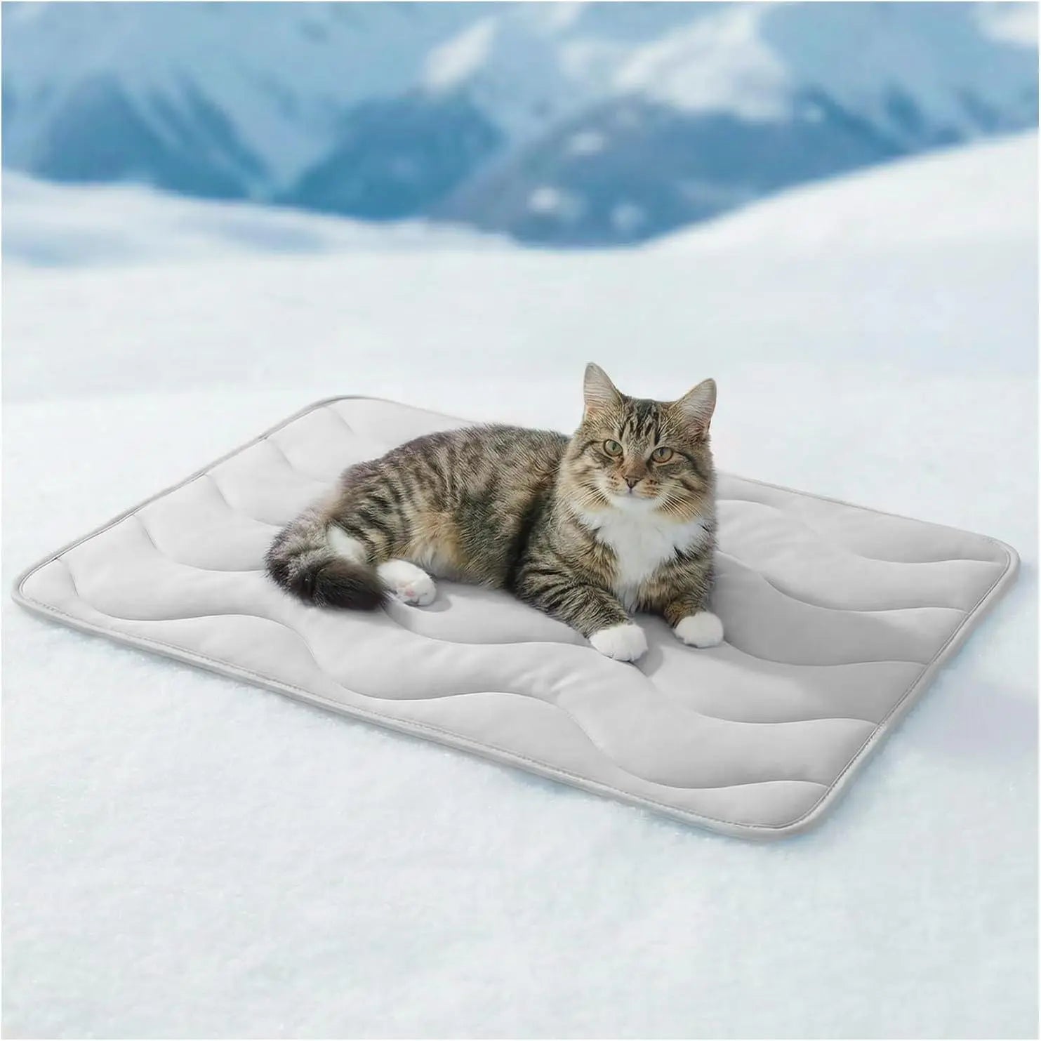 Premium Dog Cooling Mat for Large Dogs - 30"x20" Self-Cooling Pet Pad, Durable & Portable for Indoor/Outdoor Use, Thickened Cool Fiber, QMAX>0.5, Summer Essential, Blue