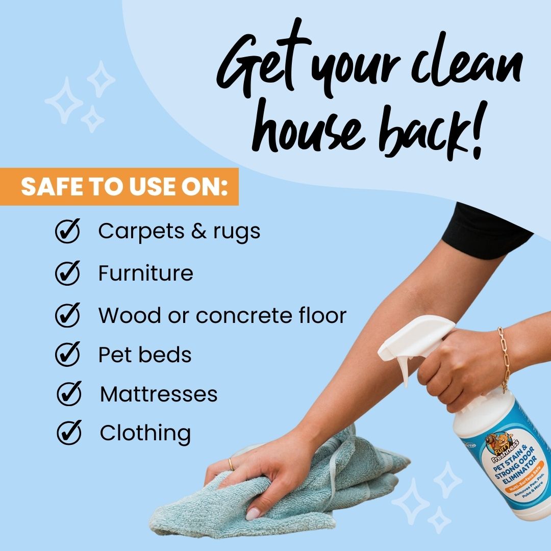 Revolutionary Pet Stain & Odor Eliminator Spray - Eco-Friendly and Effective Solutions