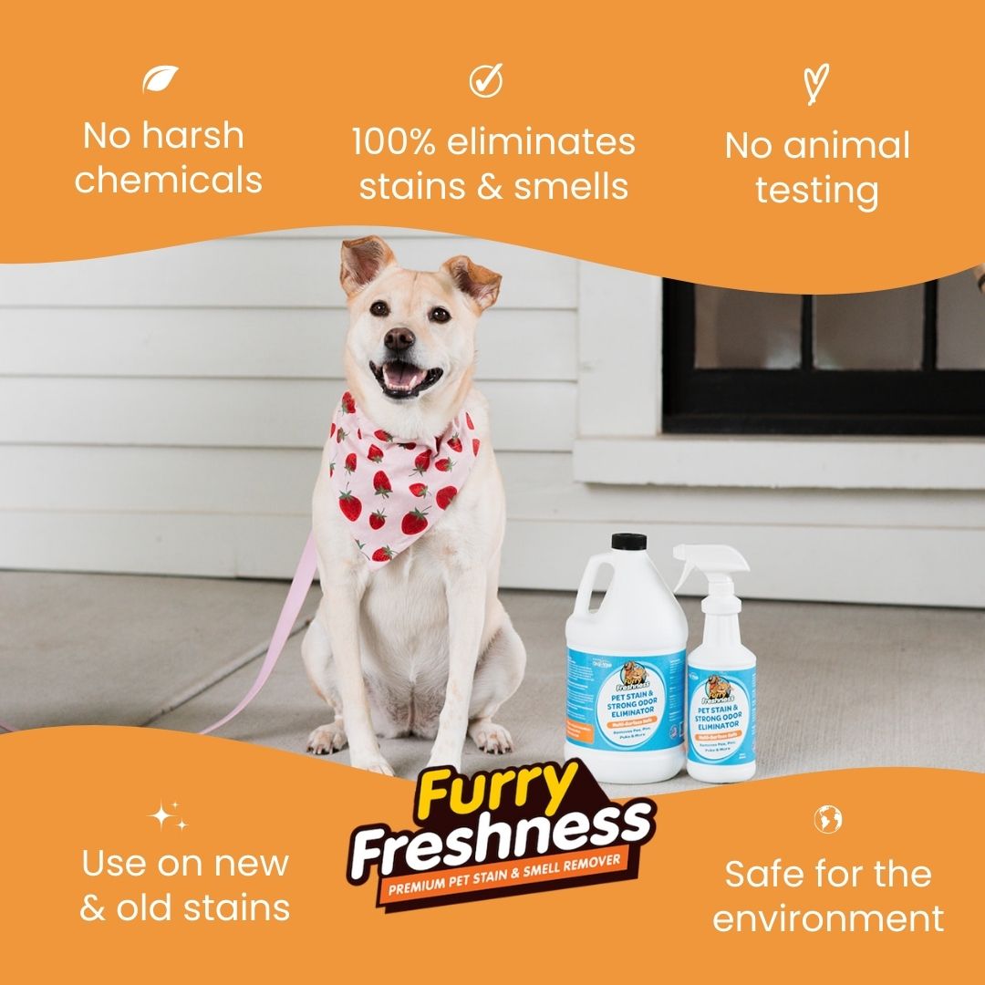 Revolutionary Pet Stain & Odor Eliminator Spray - Eco-Friendly and Effective Solutions