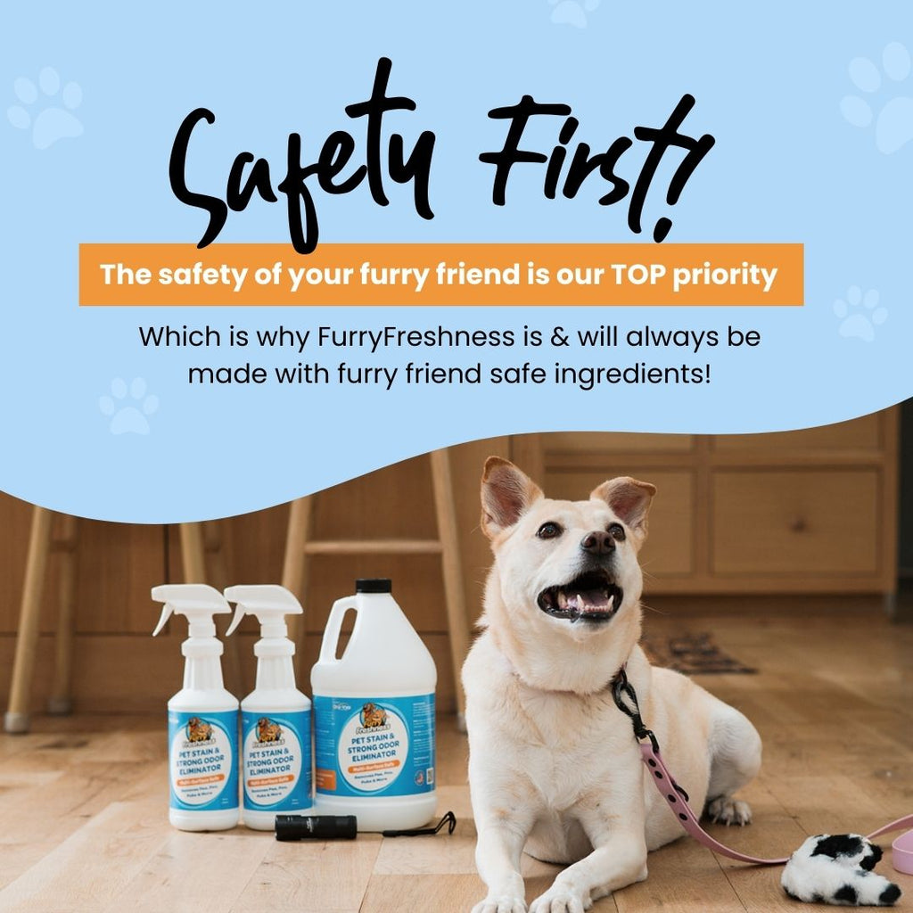 Revolutionary Pet Stain & Odor Eliminator Spray - Eco-Friendly and Effective Solutions