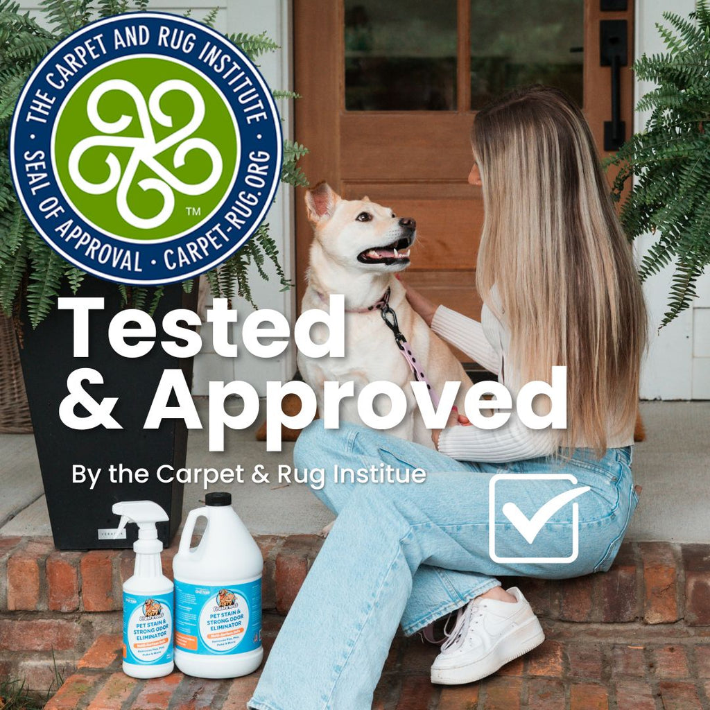 Revolutionary Pet Stain & Odor Eliminator Spray - Eco-Friendly and Effective Solutions