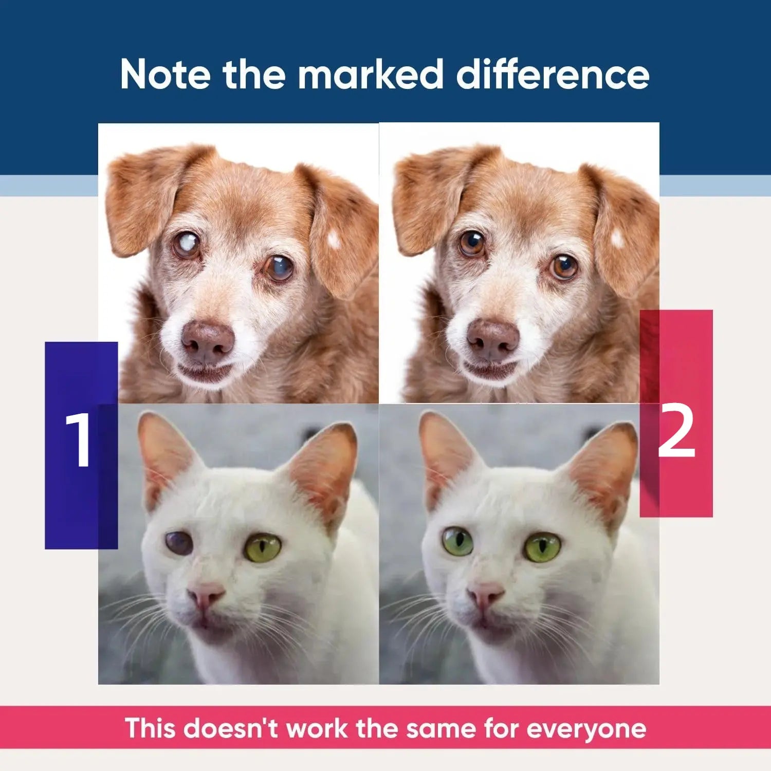 Urbanpluse Pet Eye Drops for Dogs & Cats 10ML Natural Formula Tear Stain Cleaner Soothes Itchy Dry Pink Eyes Safe for Cats and Dogs
