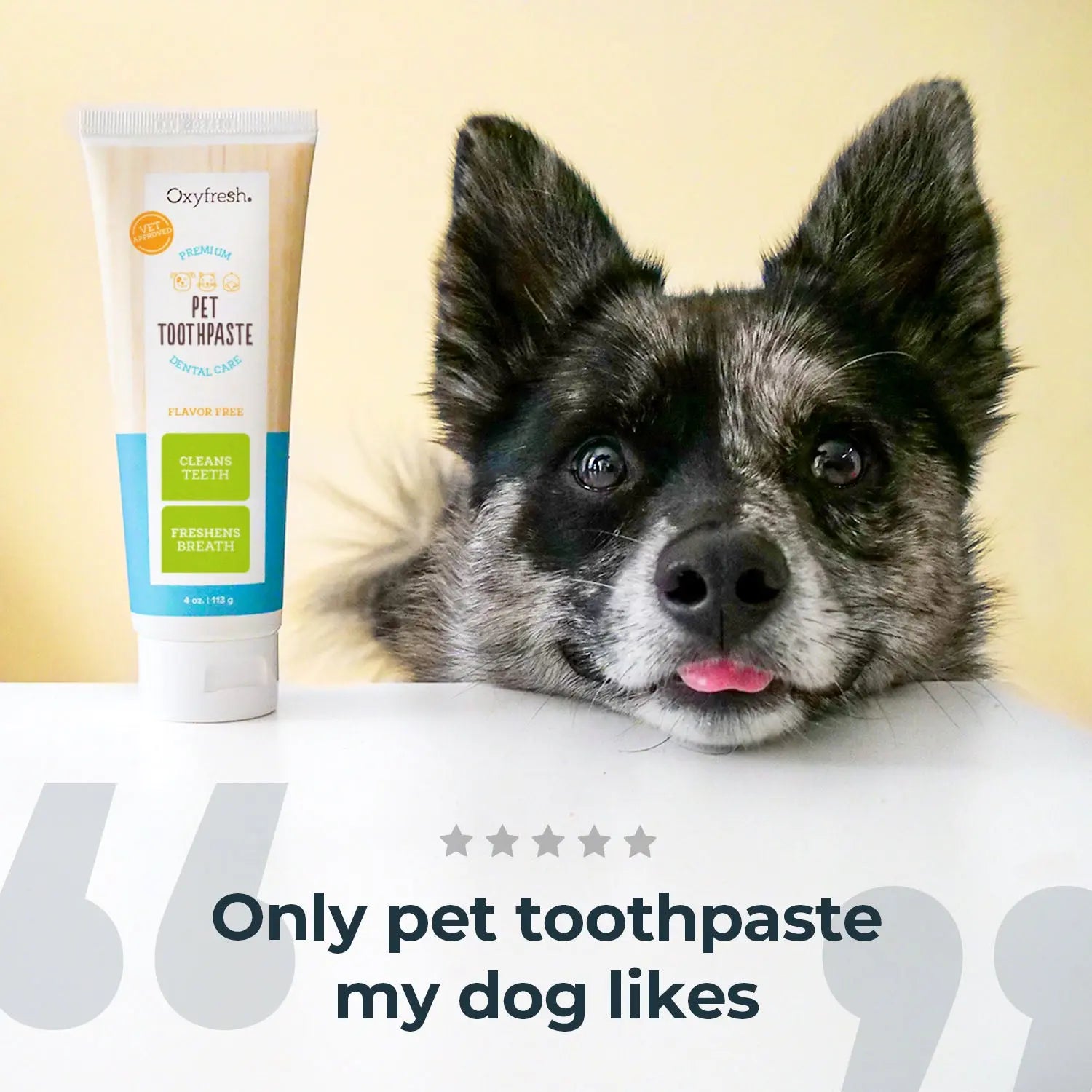Transform Your Pet's Dental Health with Our Premium Toothpaste - The Ultimate Solution for Fresh Breath and Plaque Removal
