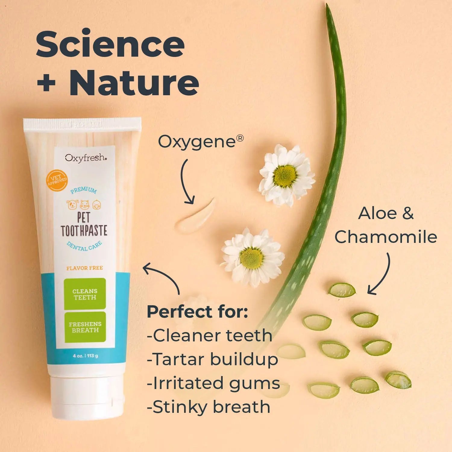 Transform Your Pet's Dental Health with Our Premium Toothpaste - The Ultimate Solution for Fresh Breath and Plaque Removal